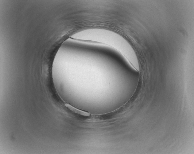 X0000115720211200911251924