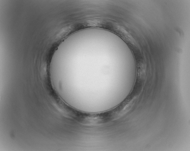 X0000115720213200911251924