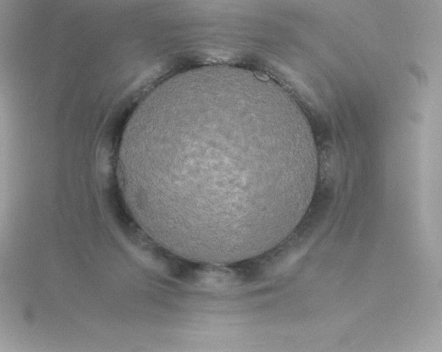 X0000115720215200911251924