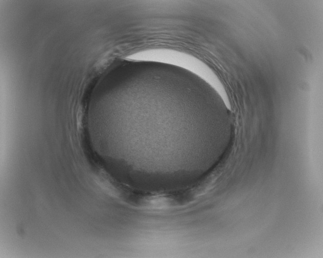 X0000115720219200911251923