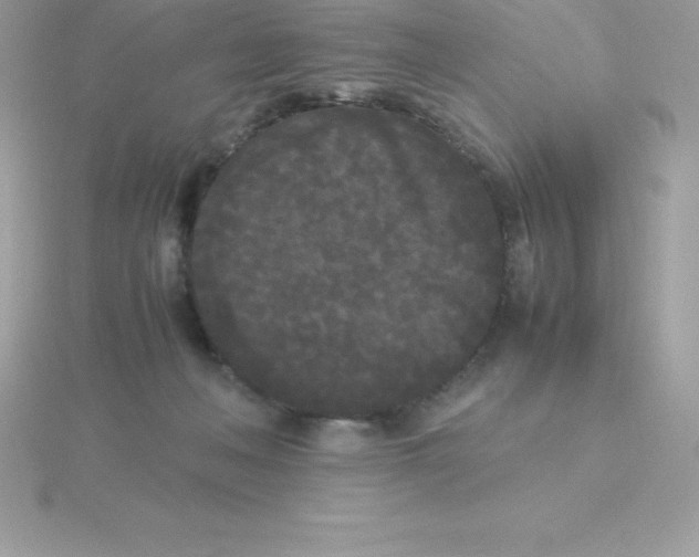 X0000115720222200911251923