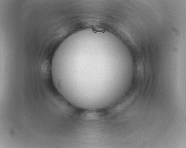 X0000115720228200911251923