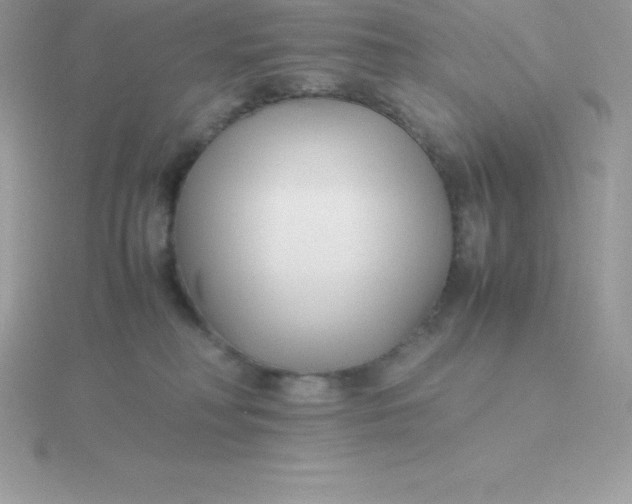 X0000115720230200911251923