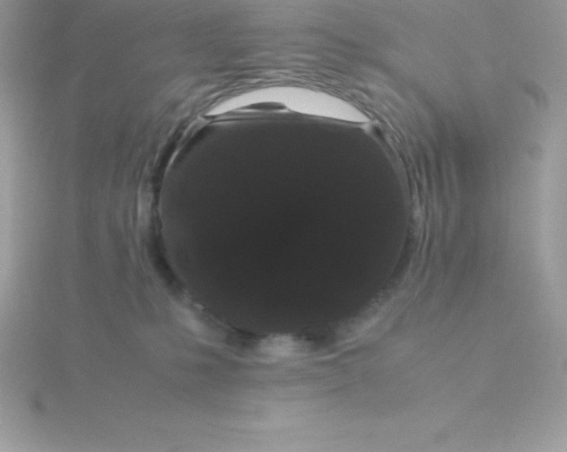 X0000115720231200911251923
