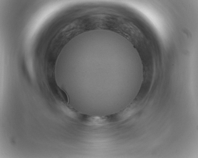 X0000115720239200911251923