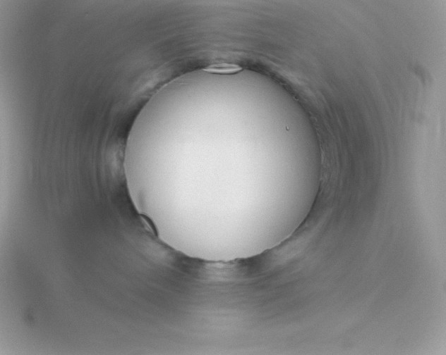 X0000115720240200911251923