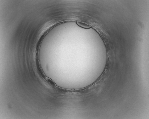 X0000115720242200911251922