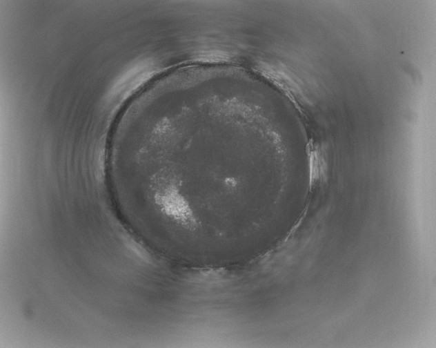 X0000115720243200911251922