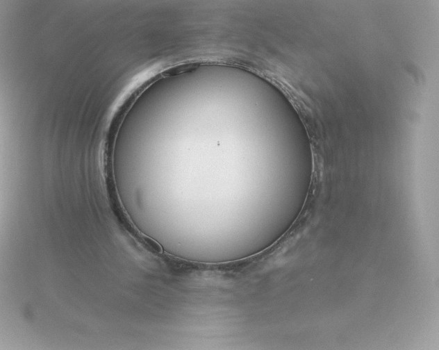 X0000115720244200911251922