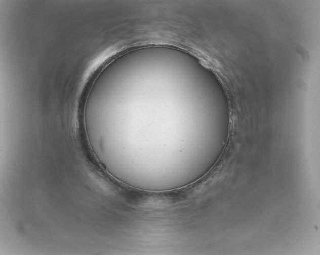 X0000115720248200911251923
