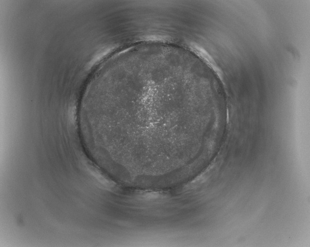 X0000115720249200911251923