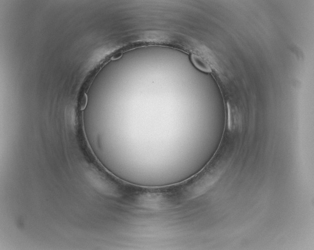 X0000115720252200911251923