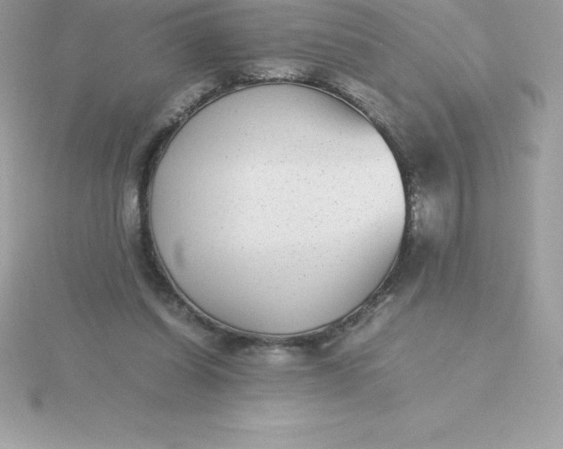 X0000115720254200911251923