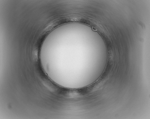 X0000115720262200911251923