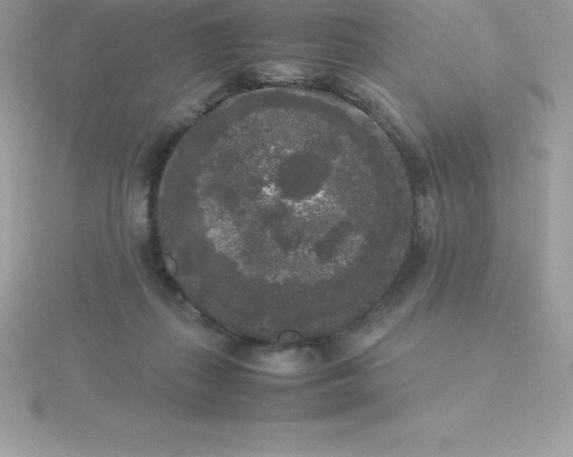 X0000115720267200911251923