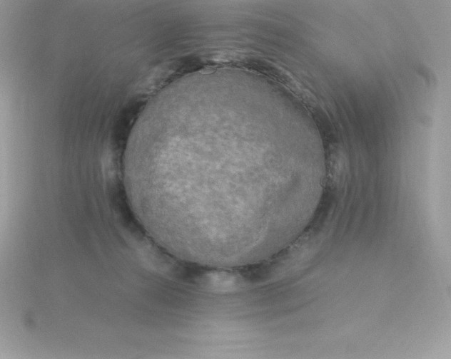 X0000115720272200911251923