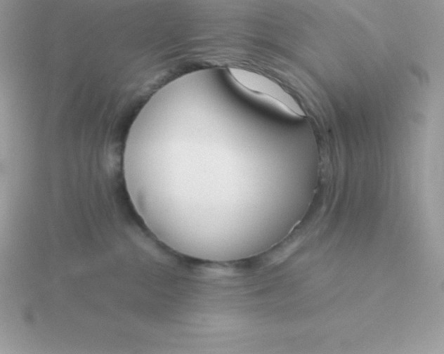 X0000115720284200911251923