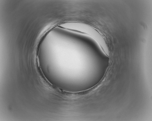 X0000115720293200911251922