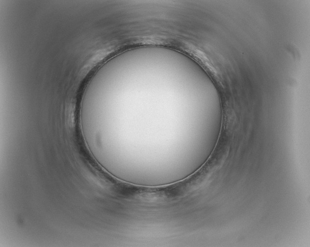 X0000115720299200911251922