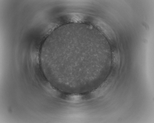 X0000115720313200911251922