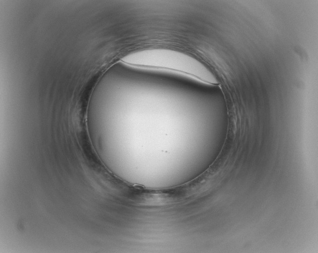 X0000115720316200911251922