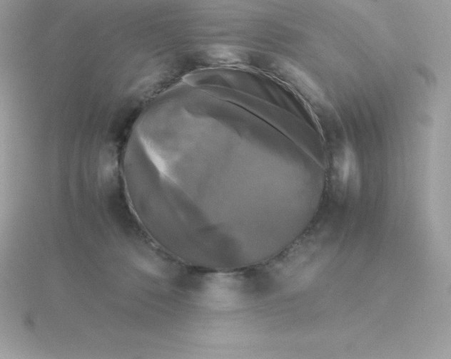 X0000115720320200911251922