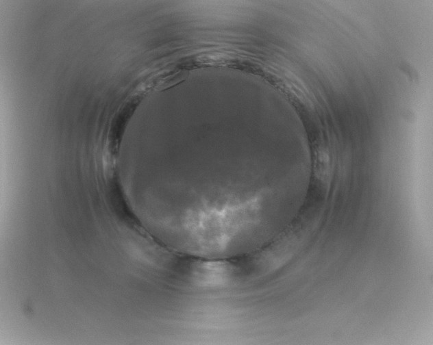X0000115720324200911251922