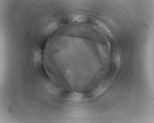 X0000115720328200911251922