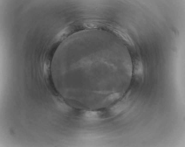 X0000115720332200911251922