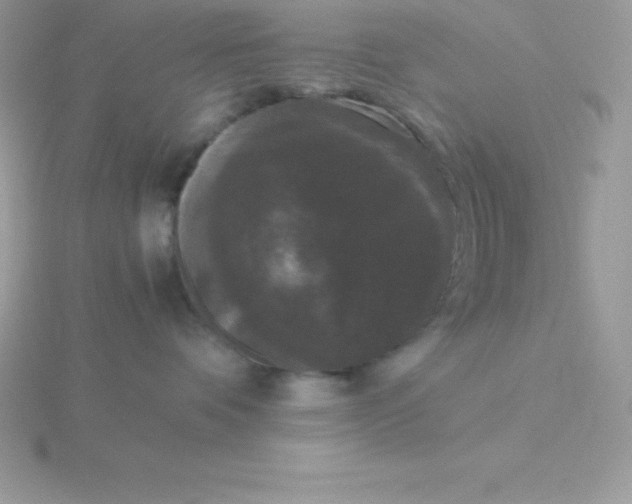 X0000115720336200911251922