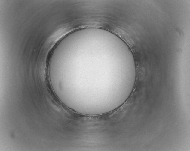 X0000115720338200911251921