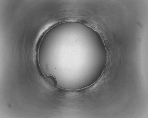 X0000115720342200911251921
