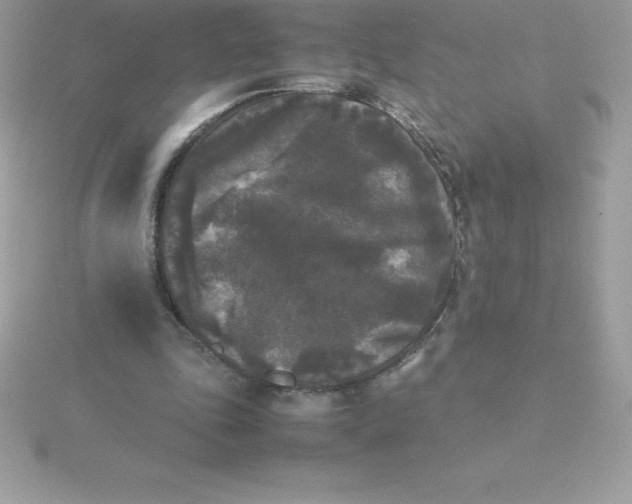 X0000115720343200911251921