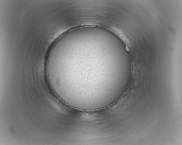 X0000115720346200911251921