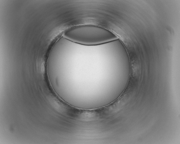X0000115720350200911251921
