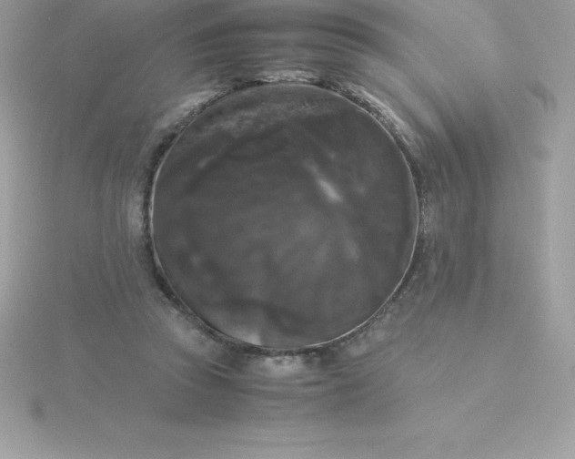 X0000115720353200911251921