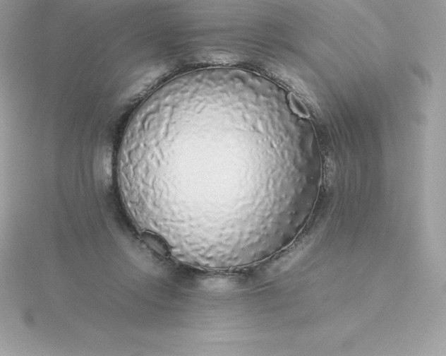 X0000115720358200911251921