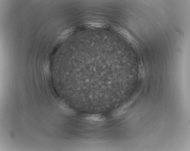 X0000115720377200911251922