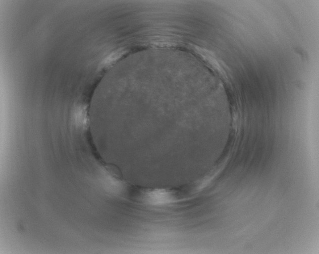 X0000115720383200911251922