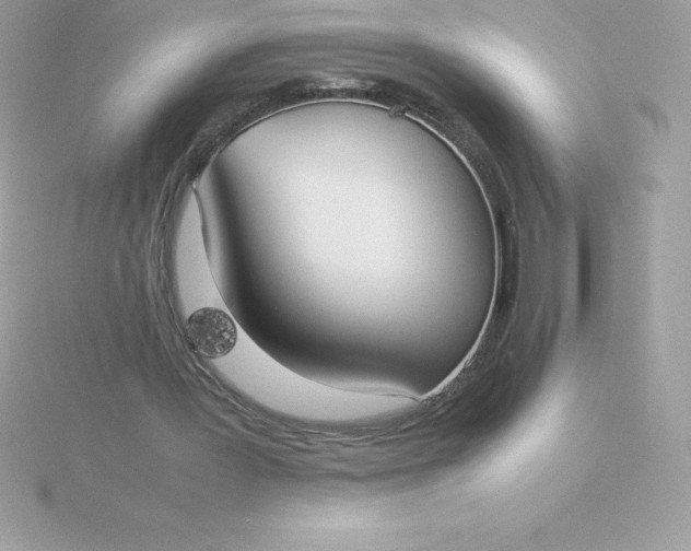 X0000115720387200911251921