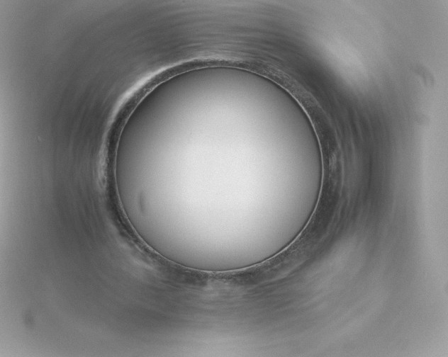X0000115720388200911251921