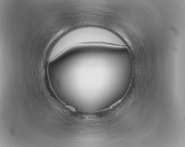 X0000115720395200911251921