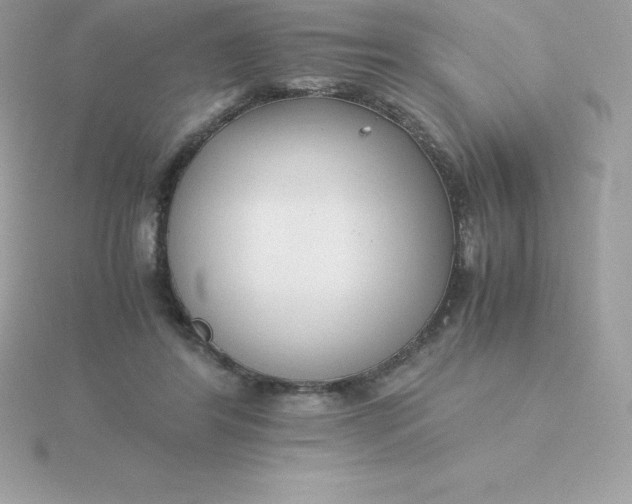 X0000115720404200911251921