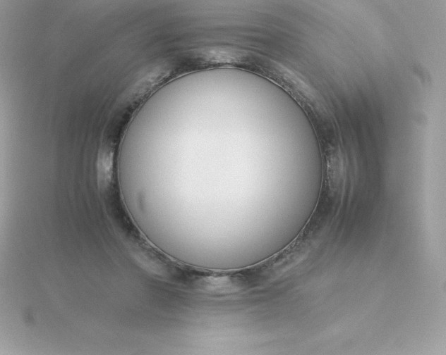 X0000115720406200911251921
