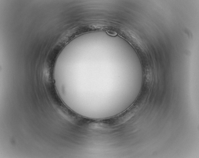 X0000115720408200911251921