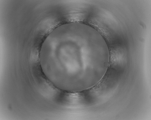 X0000115720411200911251921