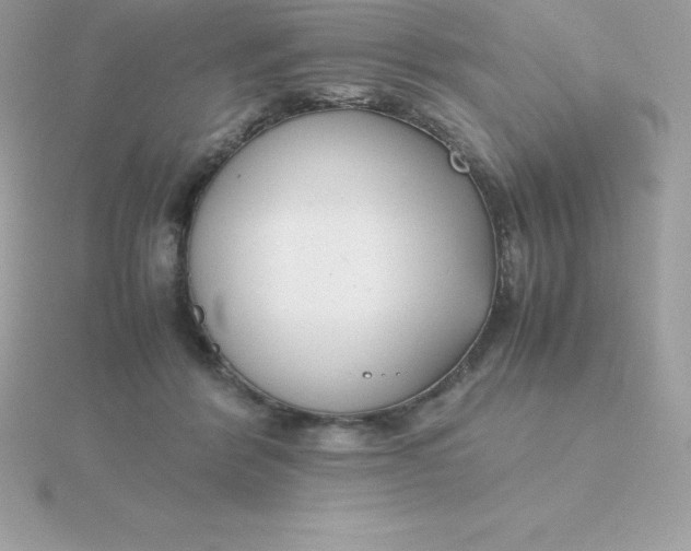 X0000115720412200911251921