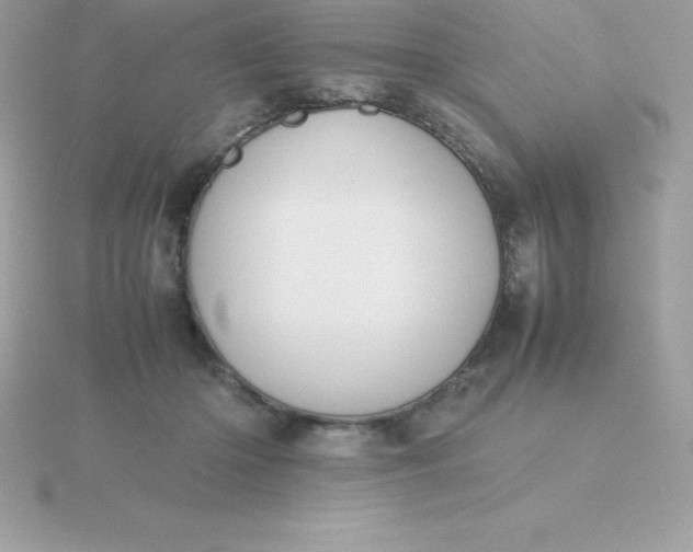 X0000115720414200911251921