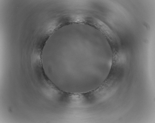 X0000115720415200911251921
