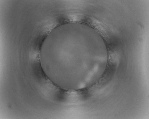 X0000115720419200911251921